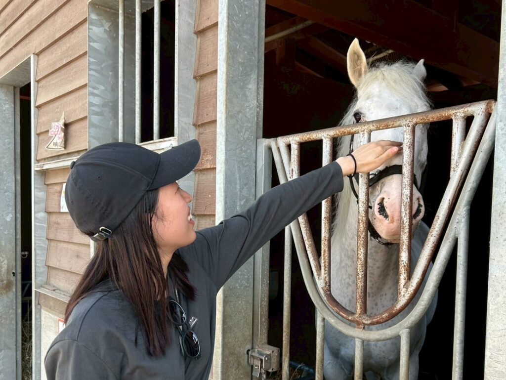 ばんえい競馬　馬とのふれあい