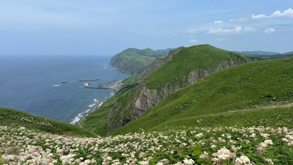 礼文島