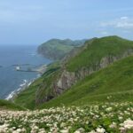 礼文島