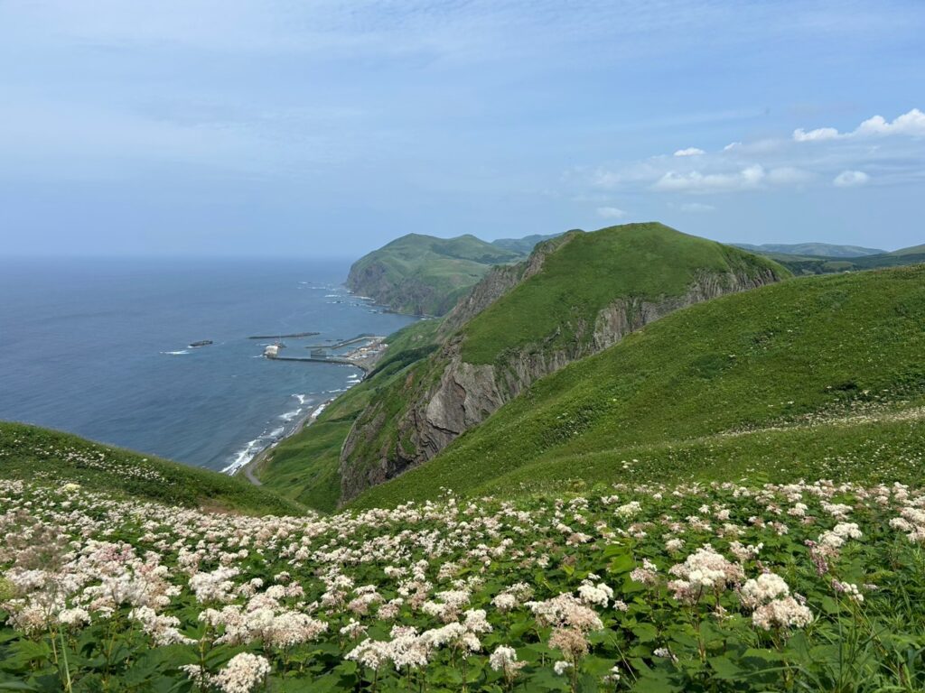 礼文島